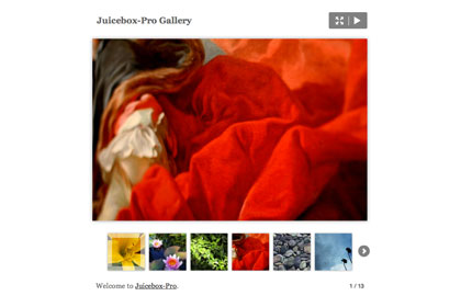 Juicebox Pro blog style